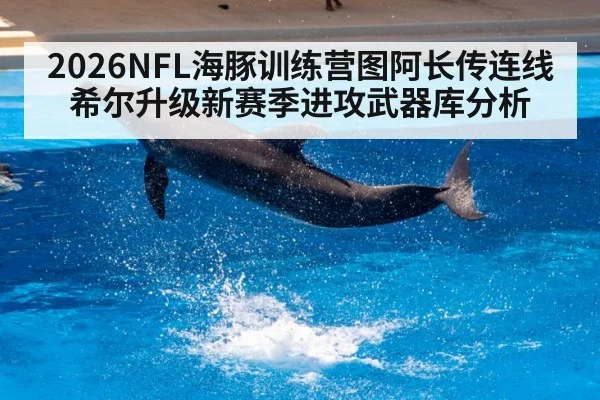 2026NFL海豚训练营图阿长传连线希尔升级新赛季进攻武器库分析