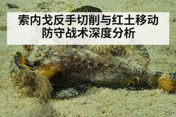 索内戈反手切削与红土移动防守战术深度分析